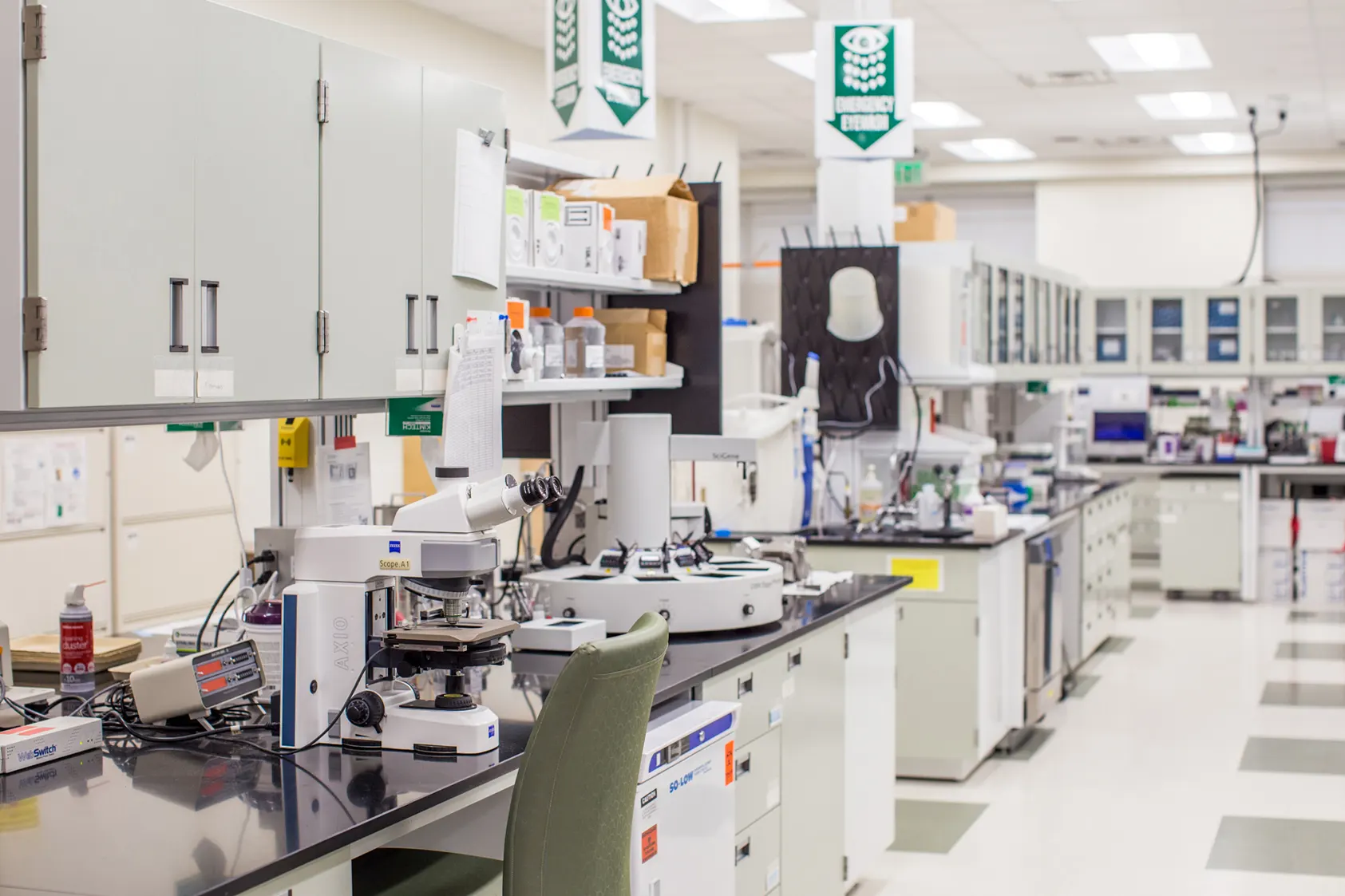 Molecular Diagnostics Division
