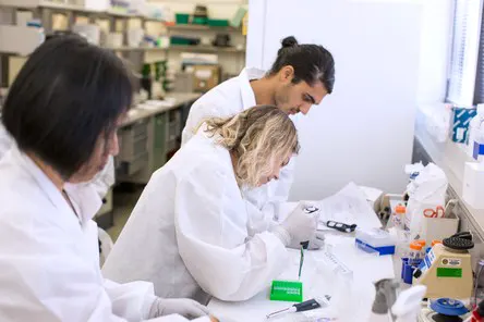 Molecular Diagnostics Laboratory.