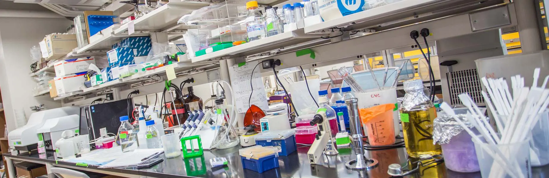 Variety of test tubes on research lab table