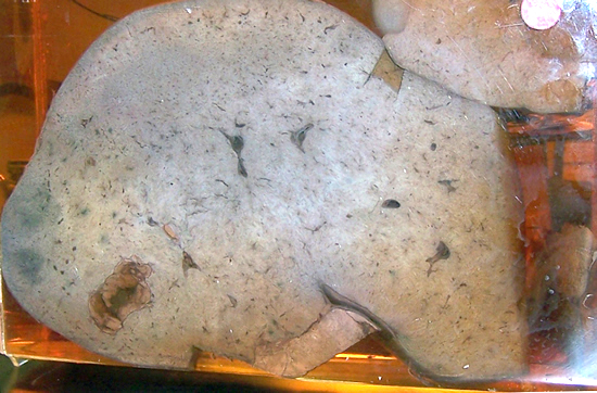 case114