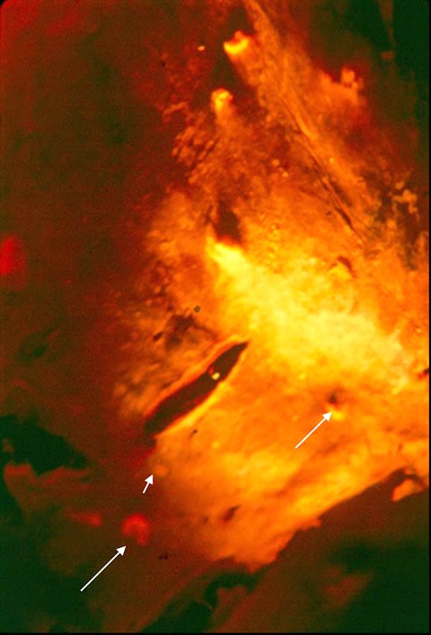 case128