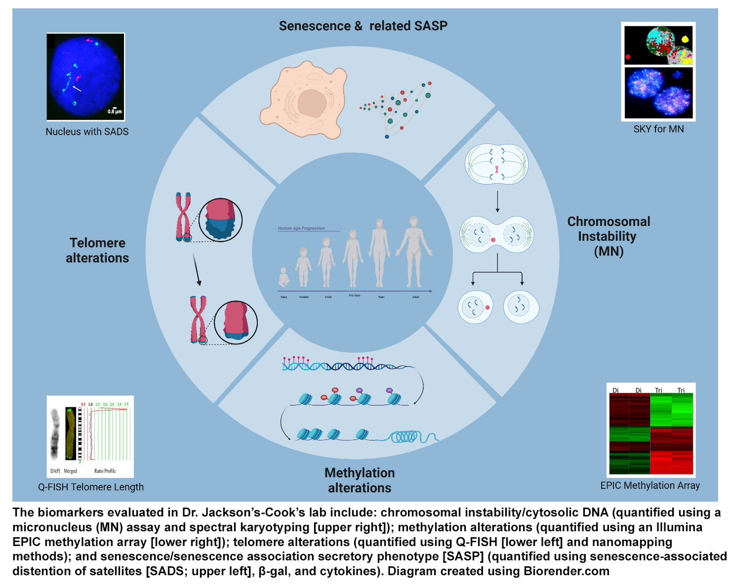 Biomarkers